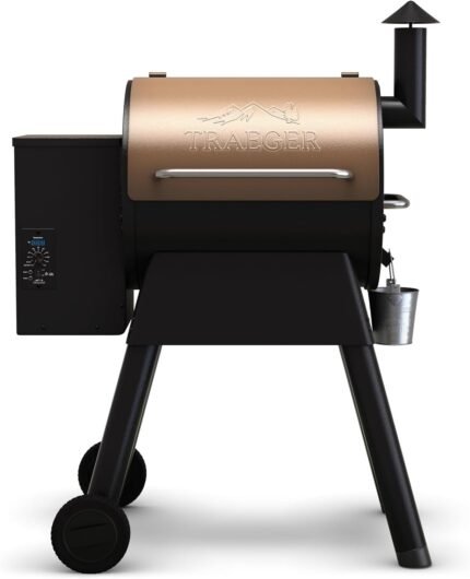Traeger Pro 22 Wood Pellet Grill & Smoker - 6-in-1 BBQ with 572 Sq In Cooking Area & Digital Pro Controller